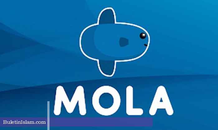 Berita Daftar Paket MolaTV